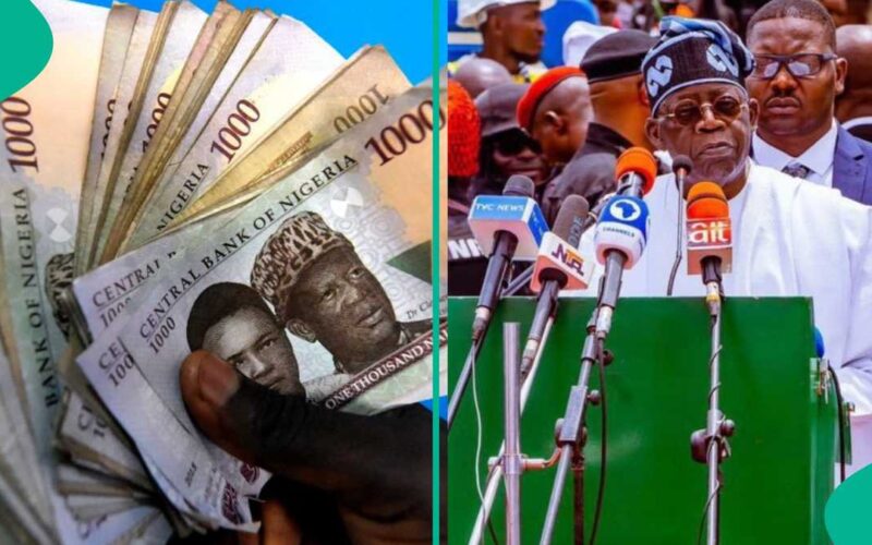 fg-dta-civil-servants