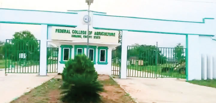 fg-jet-fuel-30day-credit-airlines