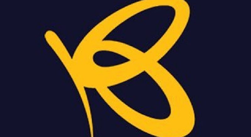 flutterwave-fg-75m-investment-ipo