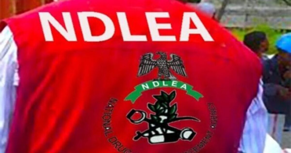 ndlea-edo-drug-bust