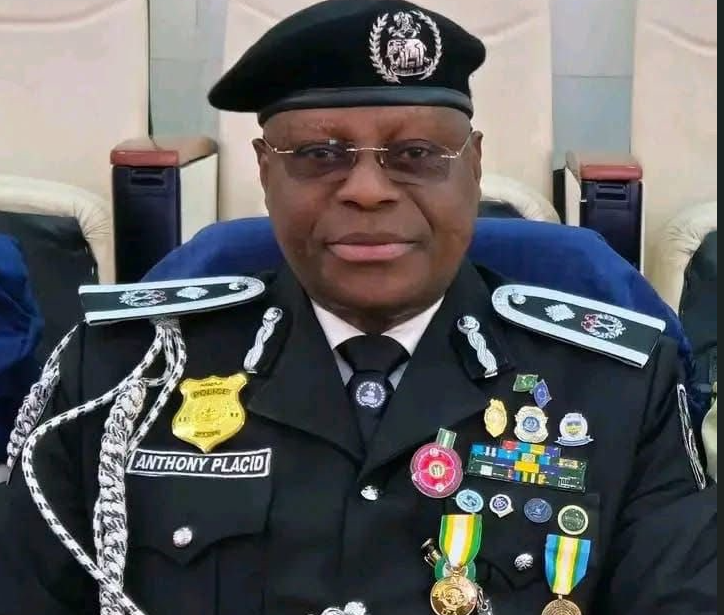 police-kidnapping-arrest-kaduna