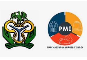 story5-pmi