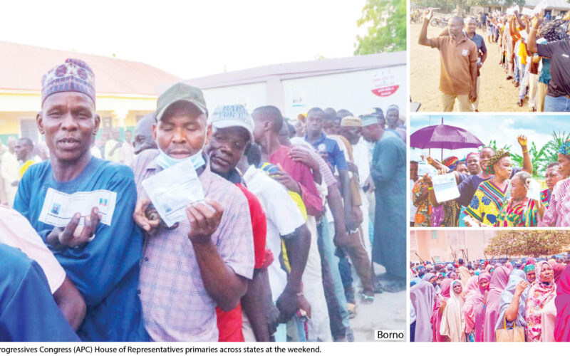 apc-primaries-reps-fallout