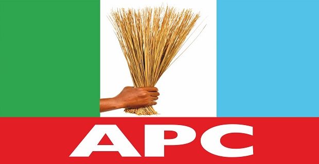 apc-primaries