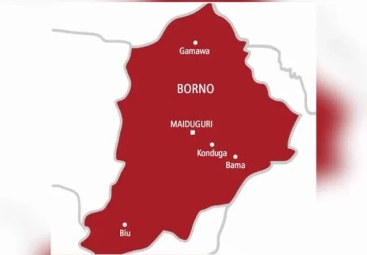 Cholera Outbreak Borno State