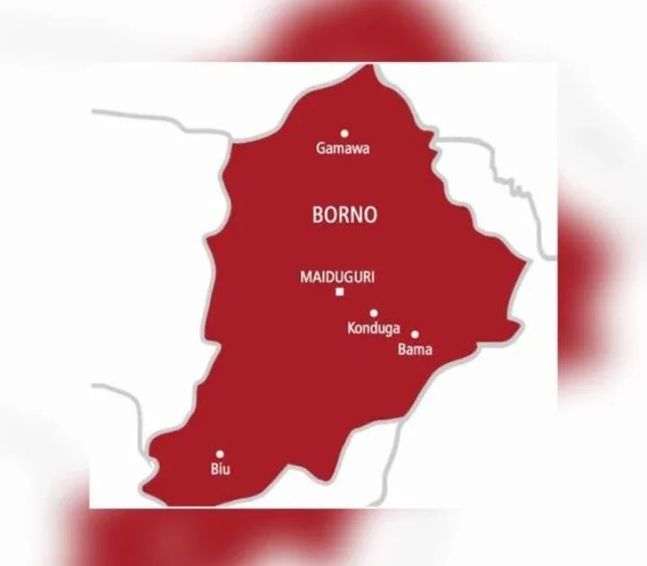 Cholera Outbreak Borno State