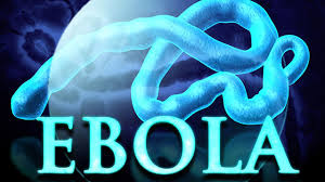 ebola-alert-nigeria