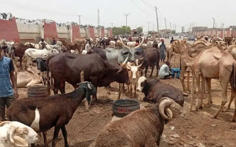 kano-ram-prices-eid