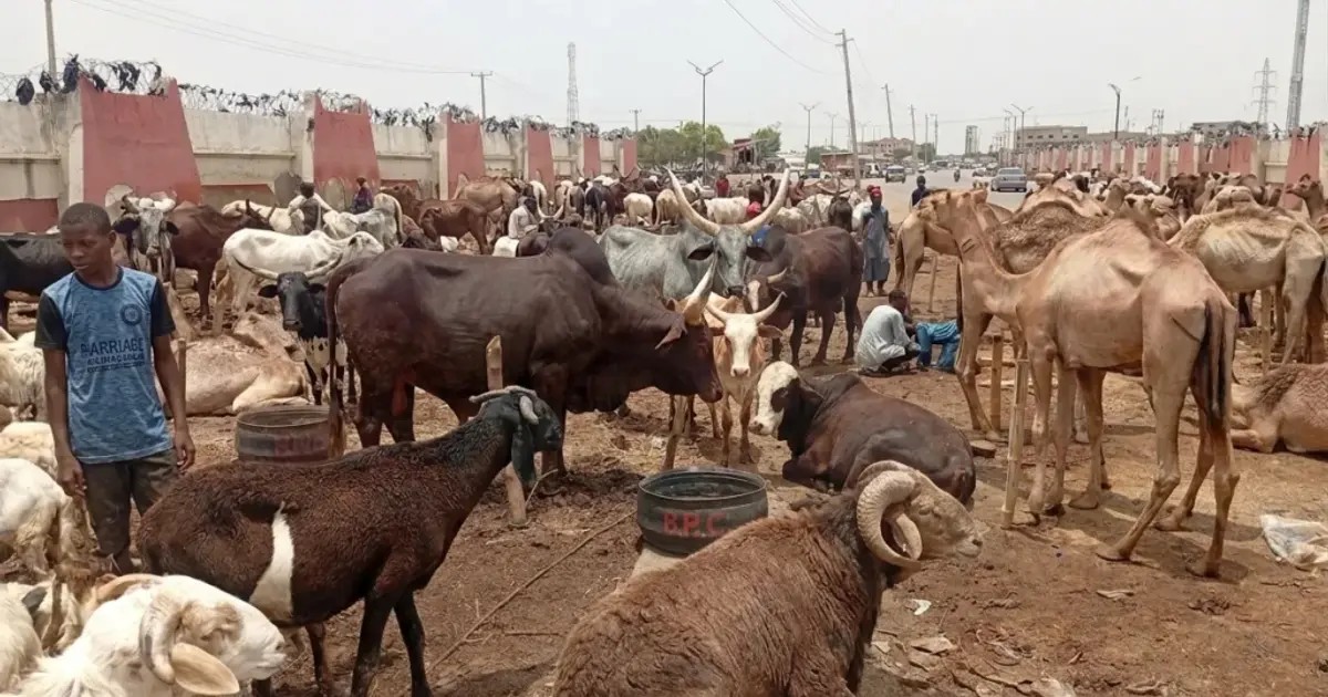 kano-ram-prices-eid