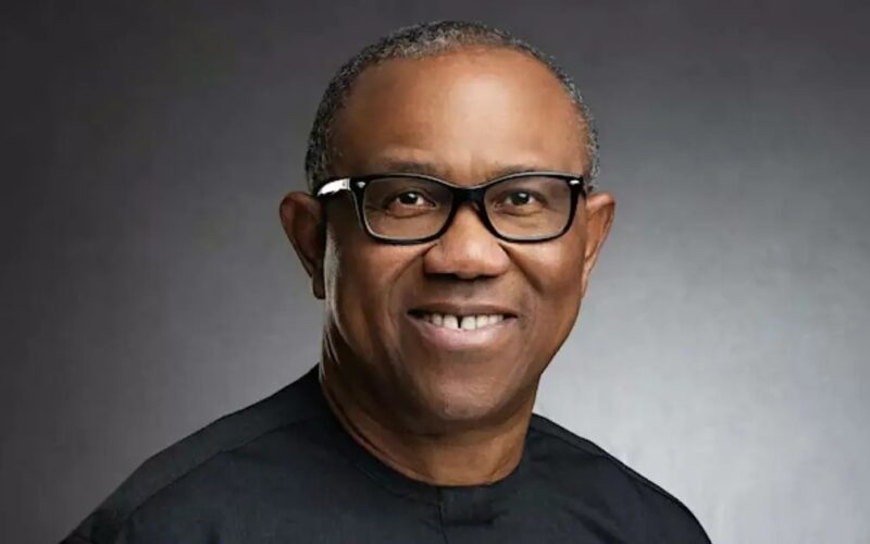 peter-obi-ndc-2027-1