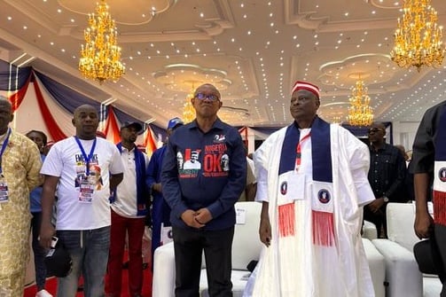Peter Obi NDC 2027 presidential ticket zoned to South at national convention