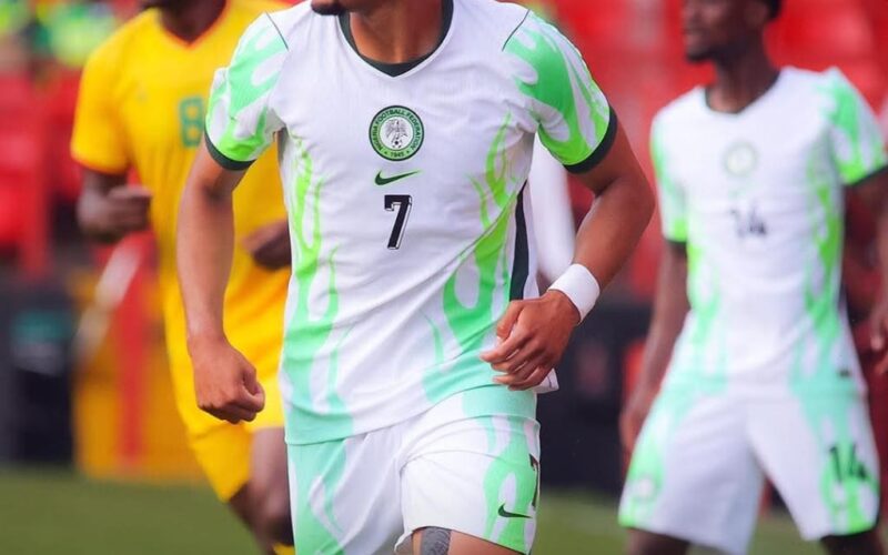 super-eagles-image