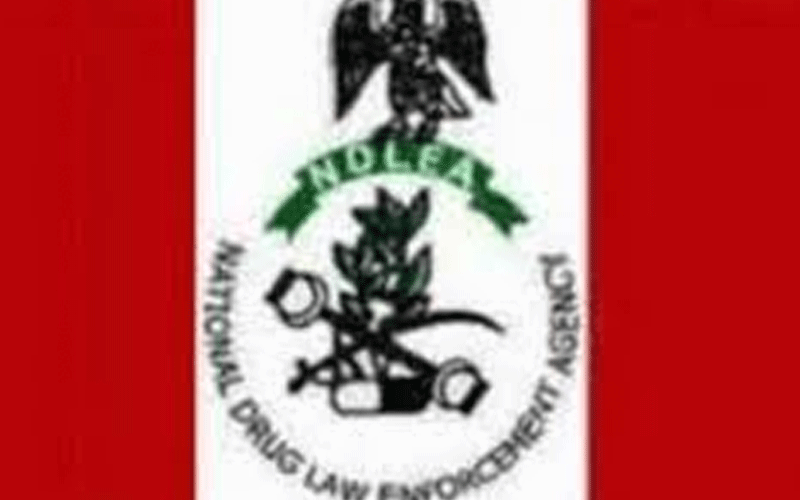 NDLEA trial of billionaire over tramadol possession