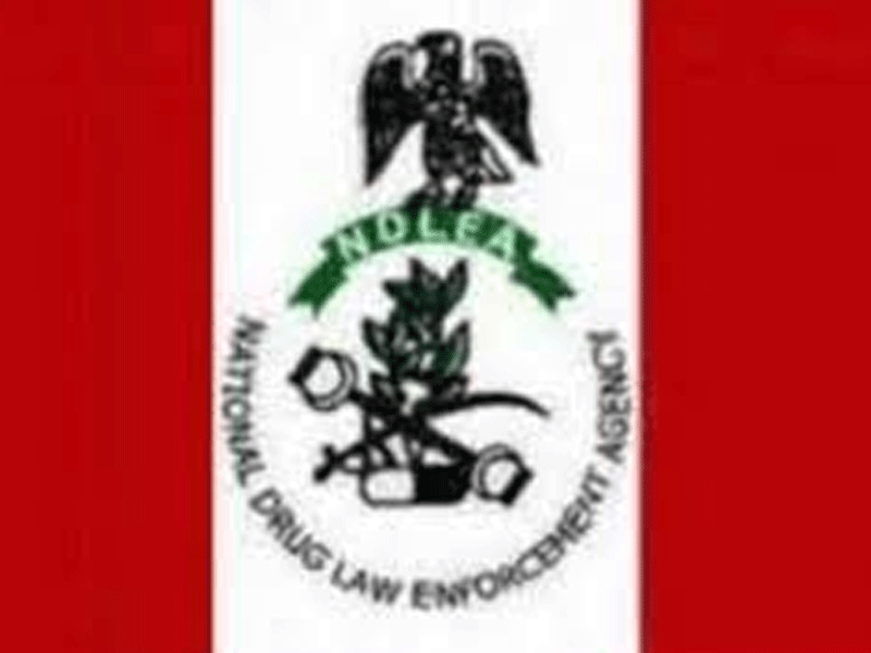 NDLEA trial of billionaire over tramadol possession