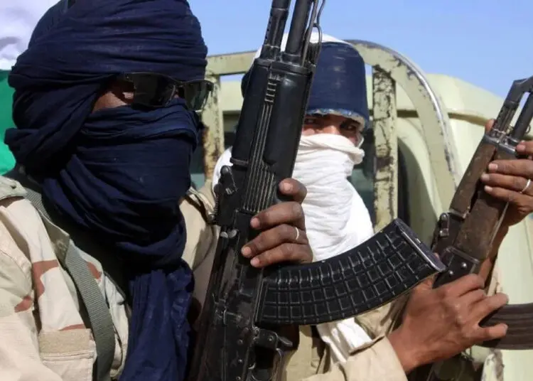 Armed fighters in the Sahel region
