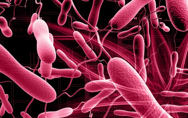 cholera-disease