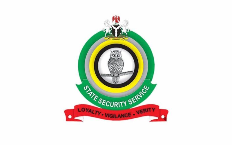 DSS opposes foreign funding of security trust fund at House hearing