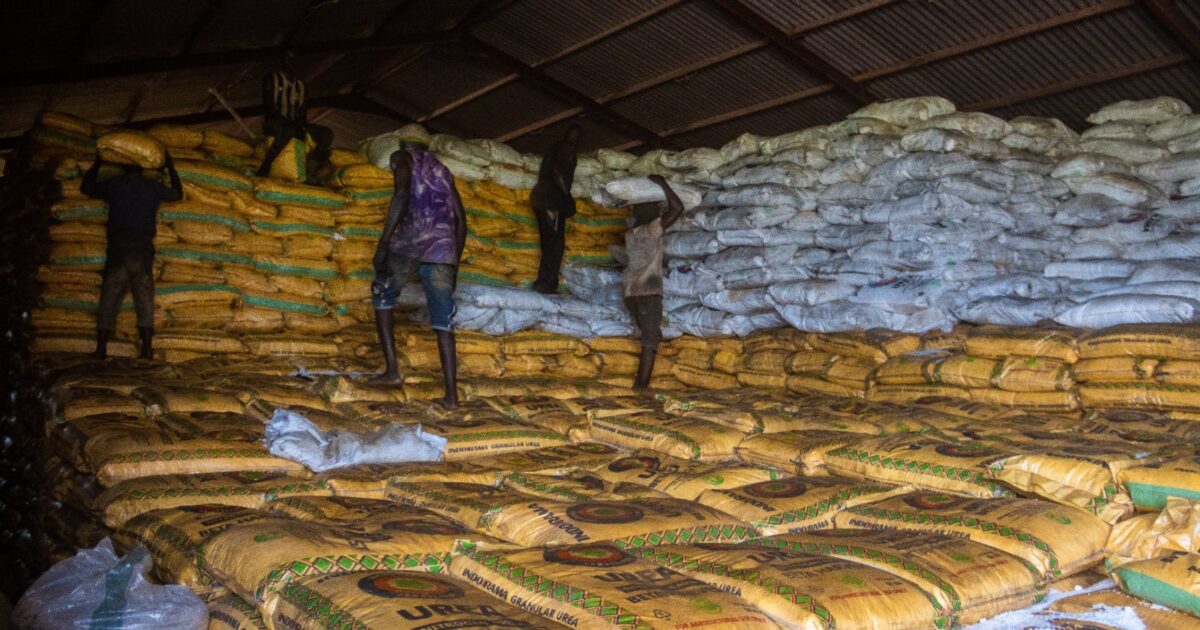 Bags of fertiliser stacked in a warehouse