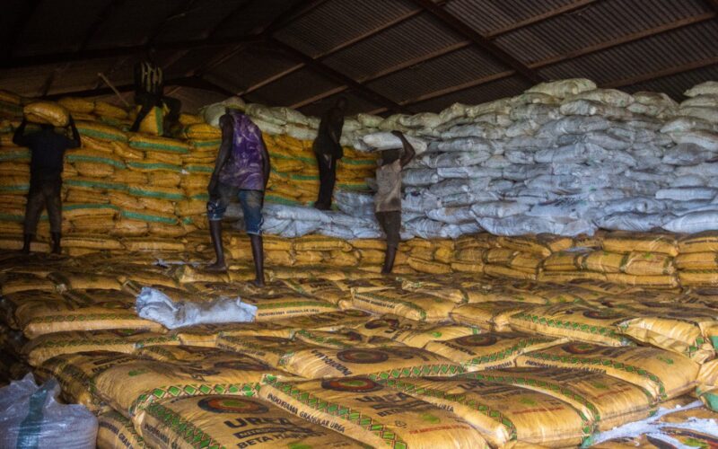 Bags of fertiliser stacked in a warehouse
