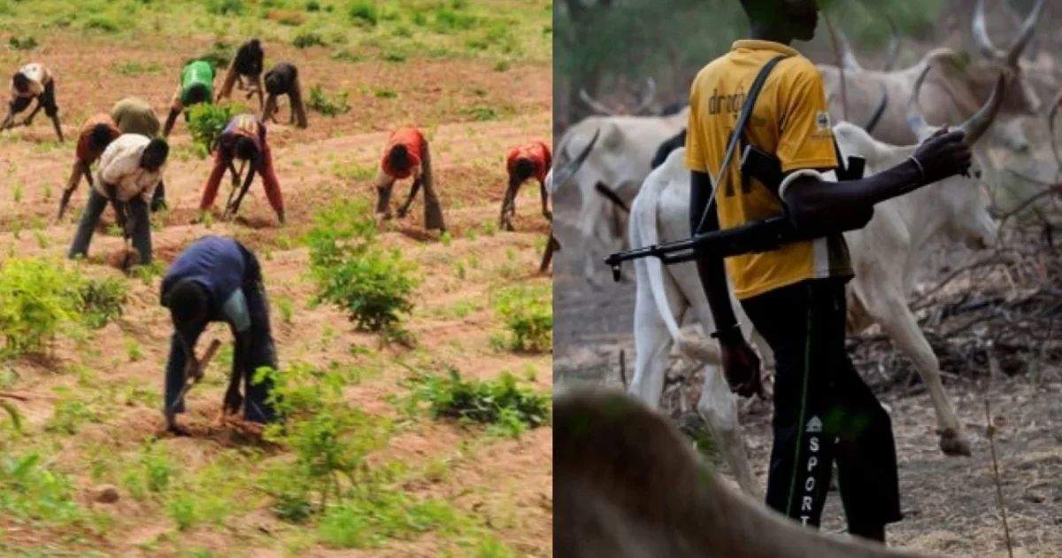 Farmers and cattle herder image used for farmers-herders clash report