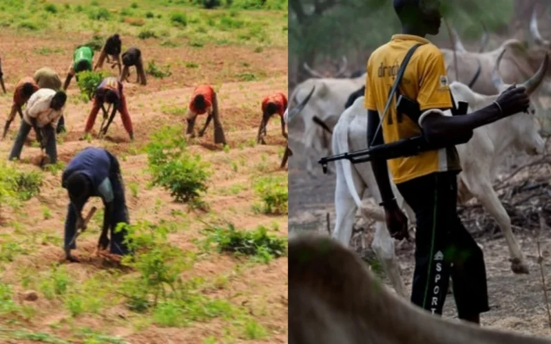 Farmers and cattle herder image used for farmers-herders clash report
