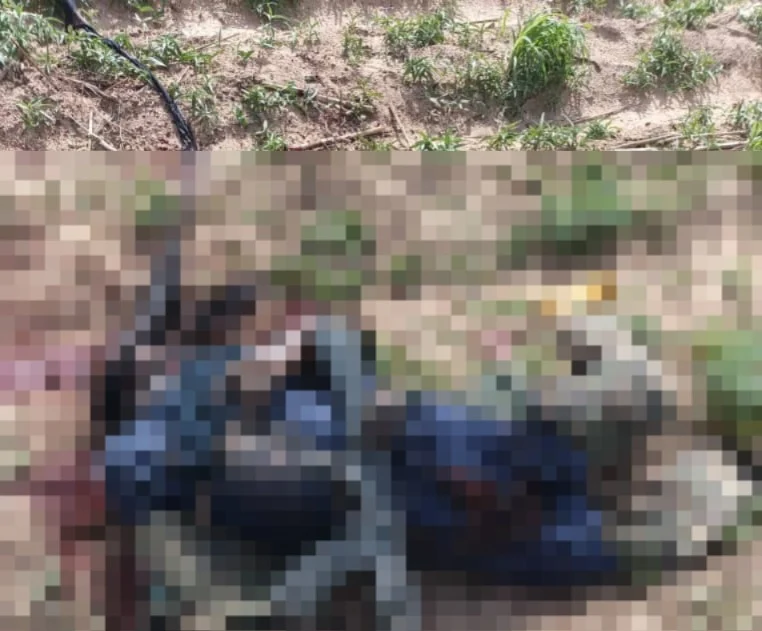 Scene from a military operation against suspected Lakurawa terrorists in Kebbi State