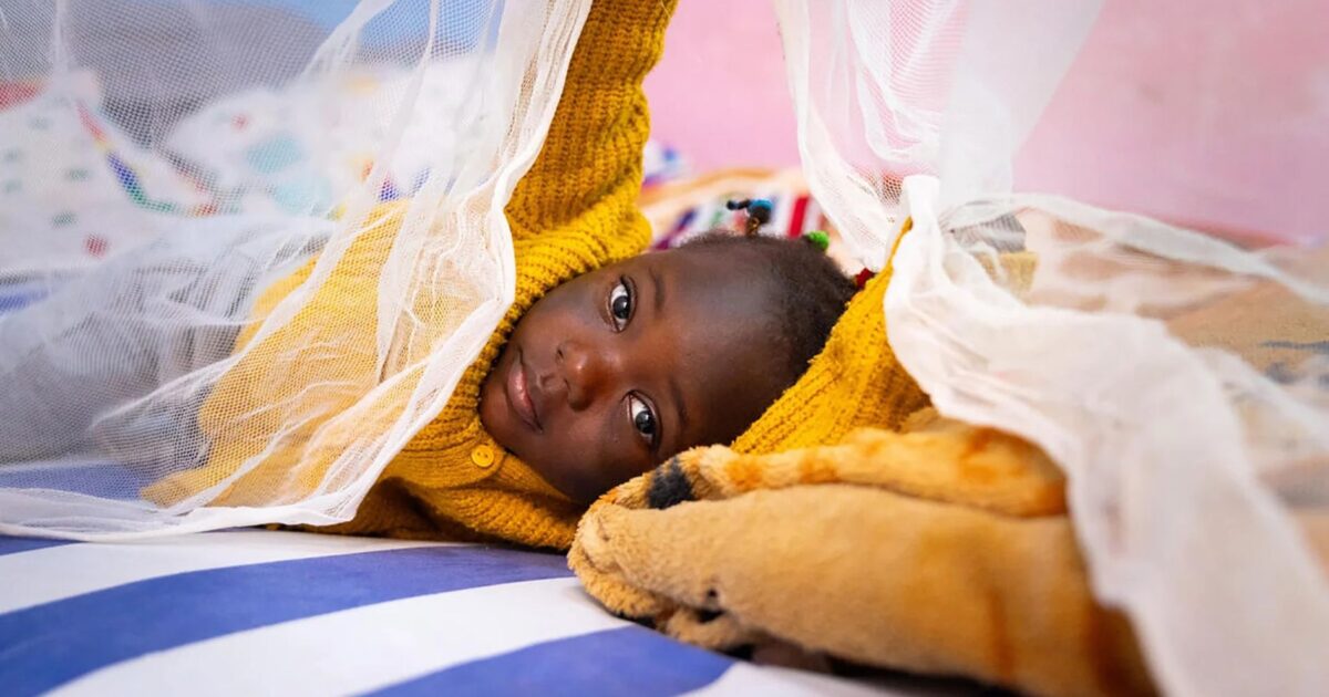 malaria-bednet