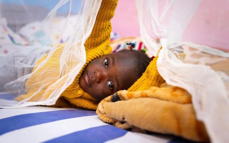 malaria-bednet