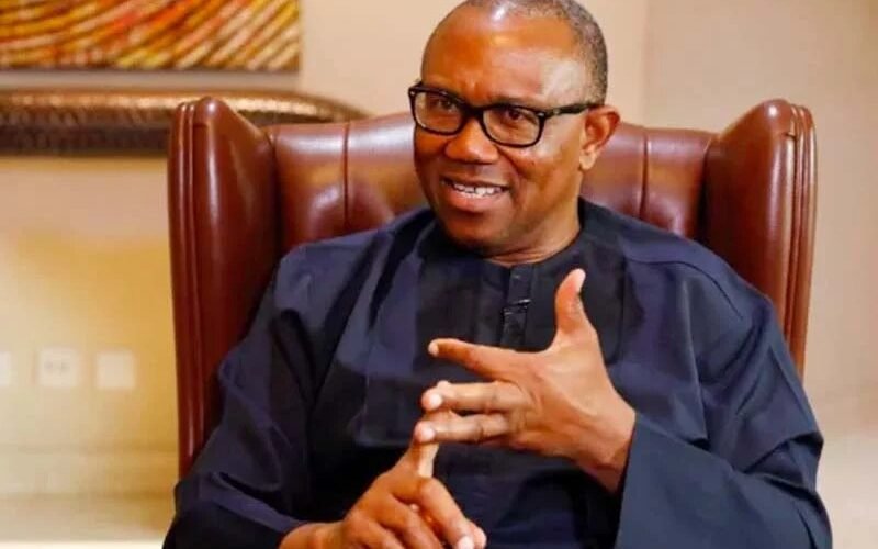 Peter Obi, Nigeria Democratic Congress presidential candidate. Photo: Punch