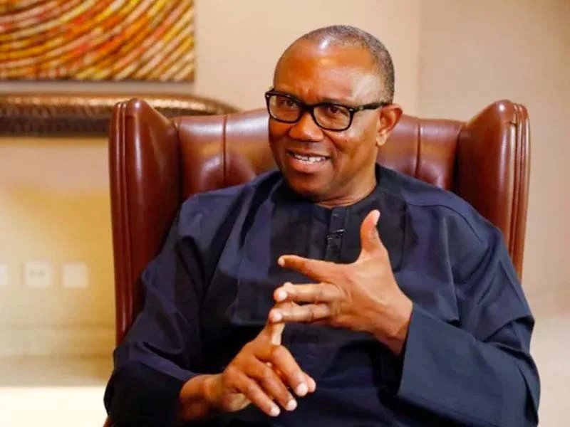 Peter Obi, Nigeria Democratic Congress presidential candidate. Photo: Punch