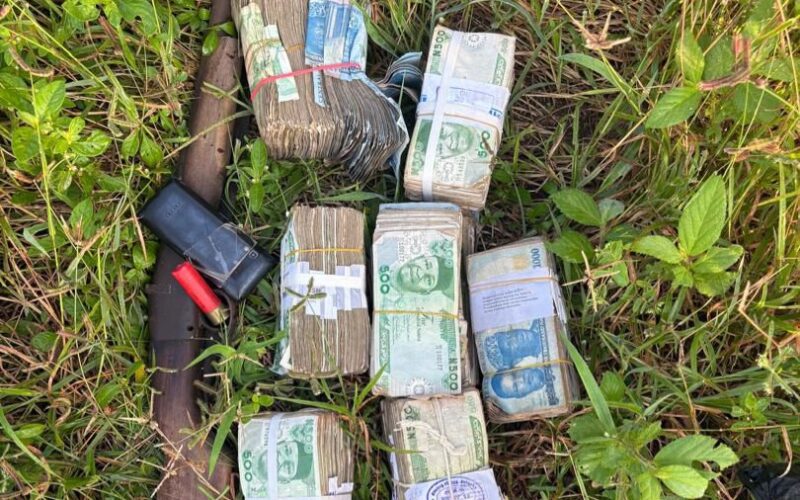Cash and a gun recovered by Ogun police after a kidnapping operation