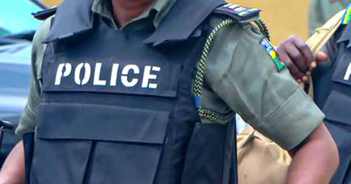 Nigeria Police Force officer in tactical vest