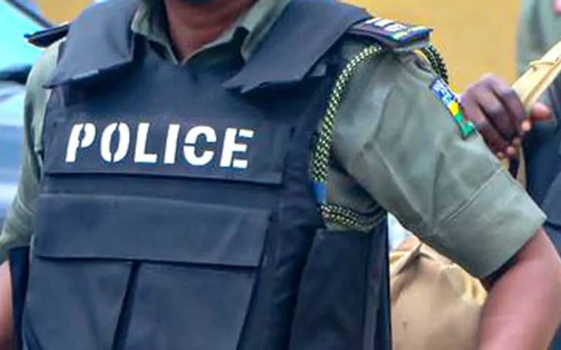 Nigeria Police Force officer in tactical vest