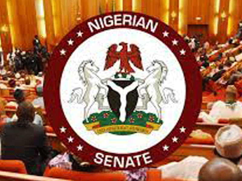 Nigerian Senate Chamber