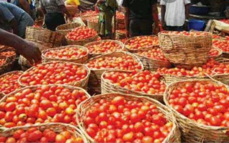 Fresh tomatoes for sale at a Nigerian market