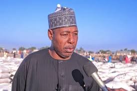 Borno State Governor Babagana Zulum speaking during an official visit