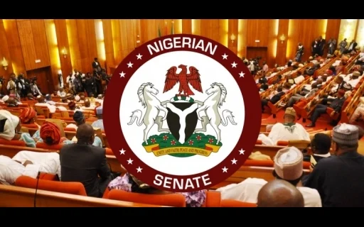 Nigerian Senate plenary