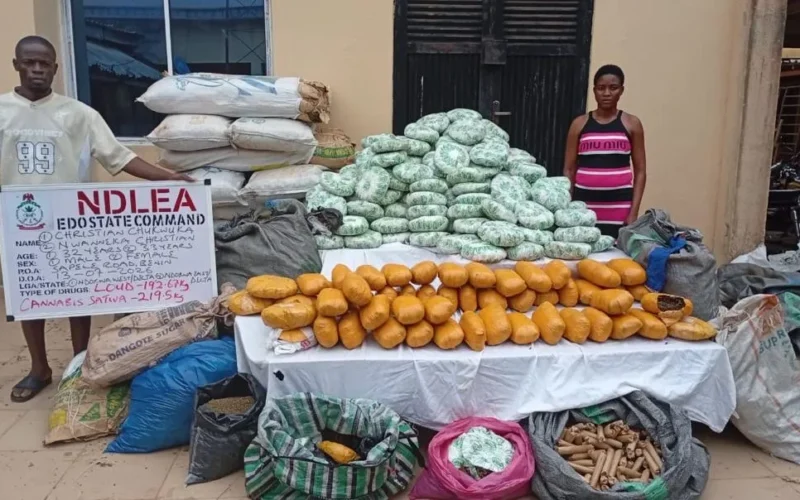 NDLEA Intercepts 1.63 Million Tramadol Pills In Kano-Bound Trucks