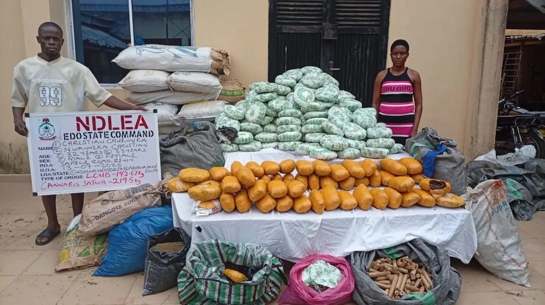NDLEA Intercepts 1.63 Million Tramadol Pills In Kano-Bound Trucks