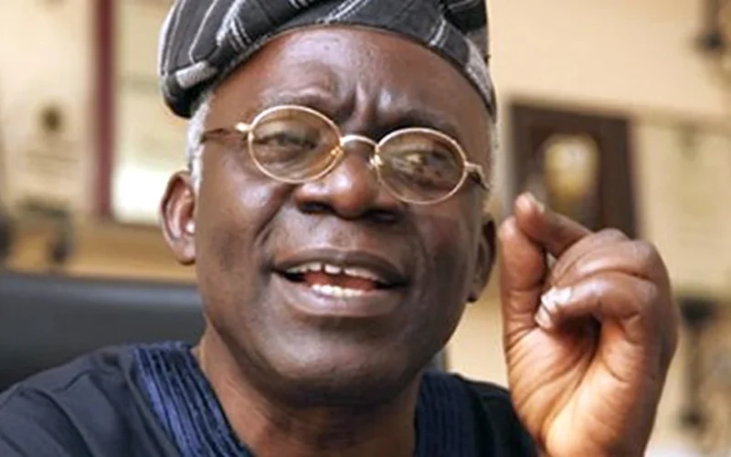 Femi Falana