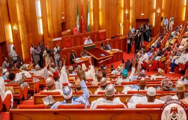 Nigerian Senate chamber during plenary