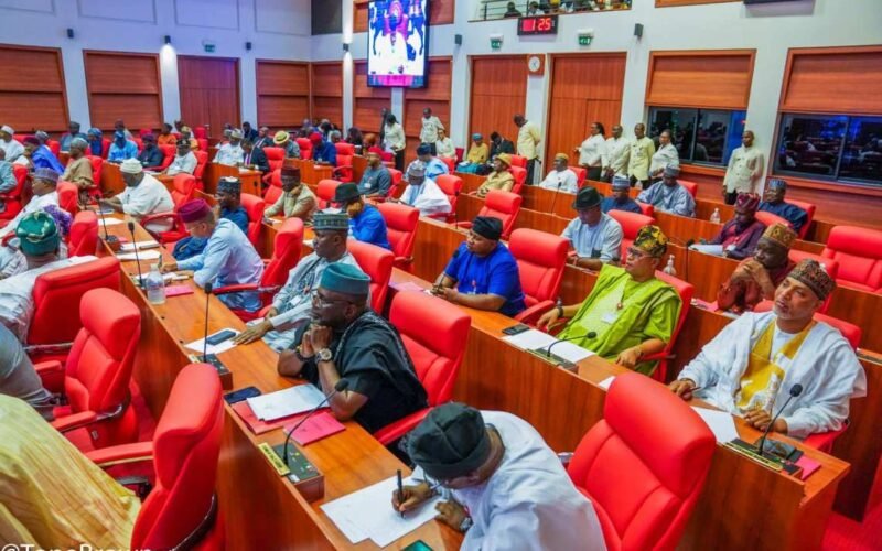 Nigerian Senate chamber during plenary