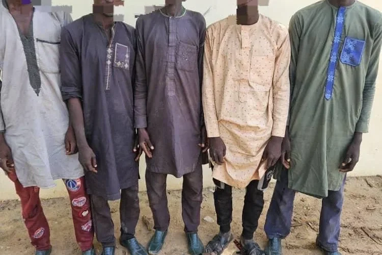 Five suspected kidnappers arrested in Yobe with recovered weapons