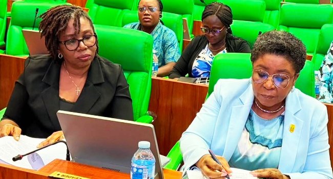 Didi Walson-Jack at a House of Representatives hearing on the PFIPC probe