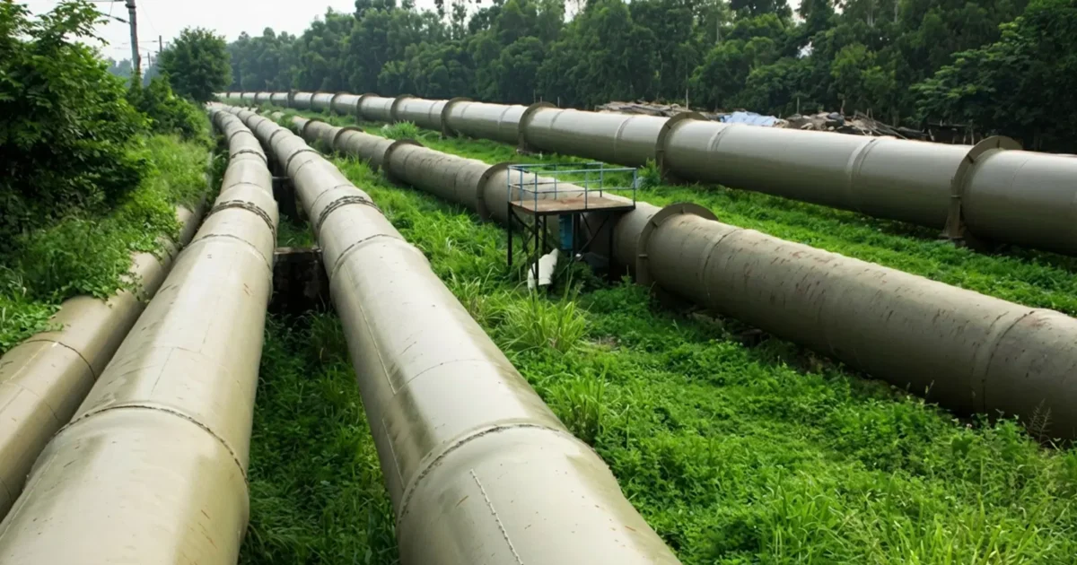 Oil pipelines in a green corridor