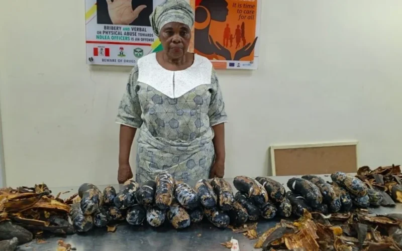 ndlea-nigerian-british-woman-13kg-cocaine-fake-plantains