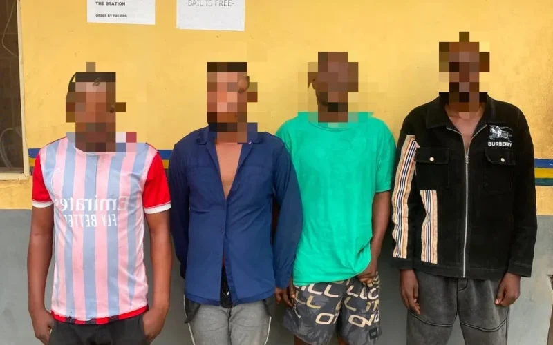 Some suspects arrested by Ogun Police Command during Operation KOSAYE activities