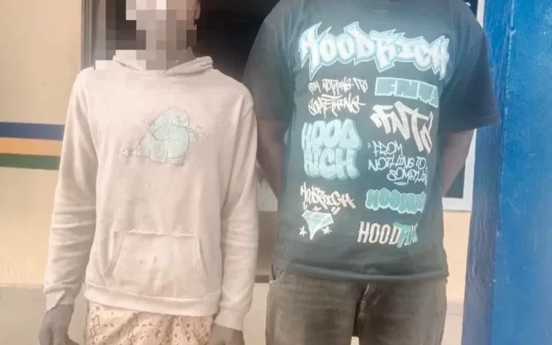 Ogun Police Arrest Two Over Cattle Theft, Foil Abduction Attempt