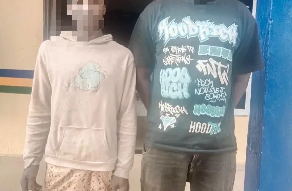 Ogun Police Arrest Two Over Cattle Theft, Foil Abduction Attempt