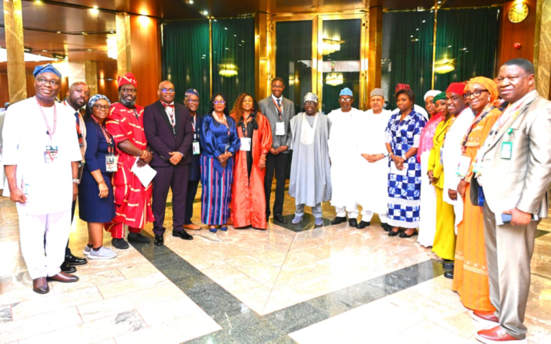 President Bola Tinubu with Nigerian diaspora medical professionals at the State House